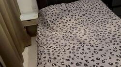 Urban Vista (D16), Condominium #502163631